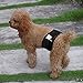 In hand Washable Durable Male Dog Diapers(Pack of 3), Premium Reusable Belly Bands Belly Wrap for Male Dog, Comfy Doggie Diapers