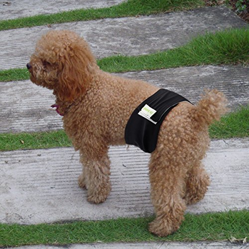 image for IN HAND Washable Male Dog Diapers(Pack of 3), Premium Reusable Belly B
