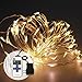 100 White LED Lights String Plug-in 12V Waterproof for Indoor/Outdoor Patio, Party, Home, Wedding Decoration (33ft, with Remote Control and Power Adapter) (Warm White)