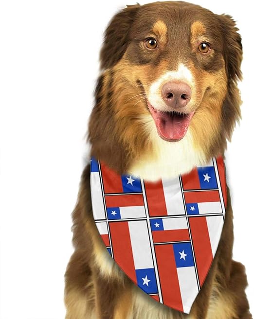 dog birthday pets at home