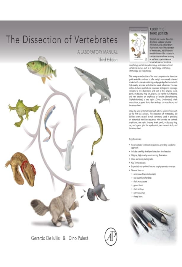 洋書　vertebrate anatomy 洋書 vertebrate anatomy Comparative Vertebrate Anatomy: A
