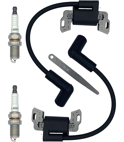 Briggs and Stratton 84005272 Ignition Coil, Black : Amazon