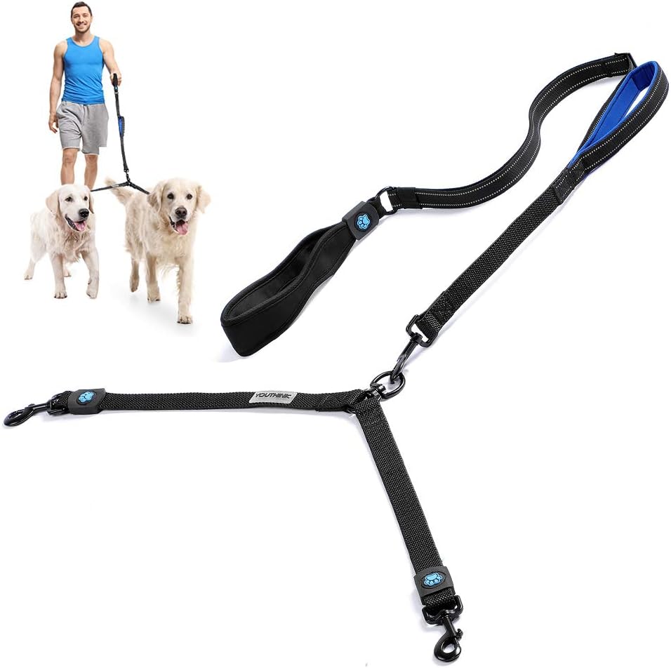 walking 2 dogs on 1 leash