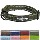 Blueberry Pet 3M Reflective Adjustable Classic Solid Color Dog Collar, 8 Colors, Matching Leash Available Separately