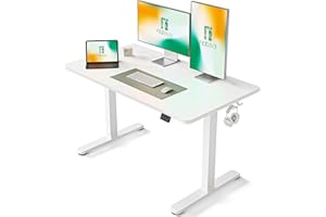 FEZIBO Electric Standing Desk, 48 x 24 Inches Height Adjustable Stand up Desk, Sit Stand Home Office Desk, Computer Desk, White