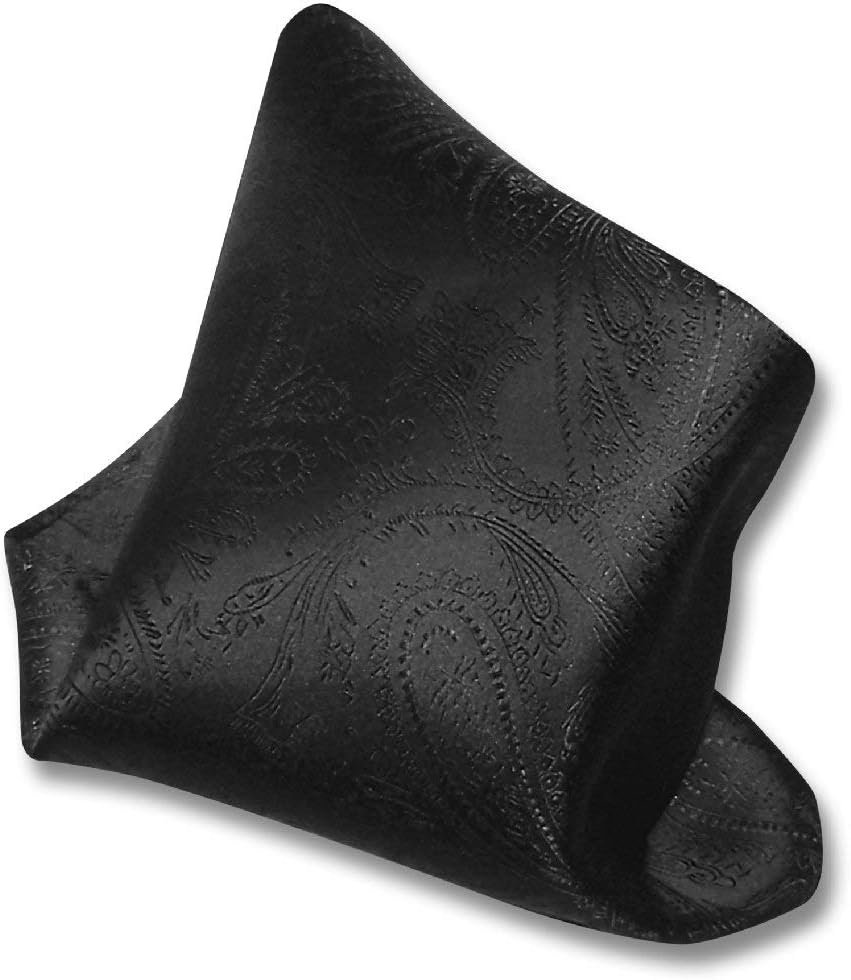 Vesuvio Napoli PAISLEY Design Men's Hankerchief Pocket Square Mens Hanky Hankie