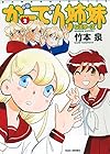 がーでん姉妹 第2巻