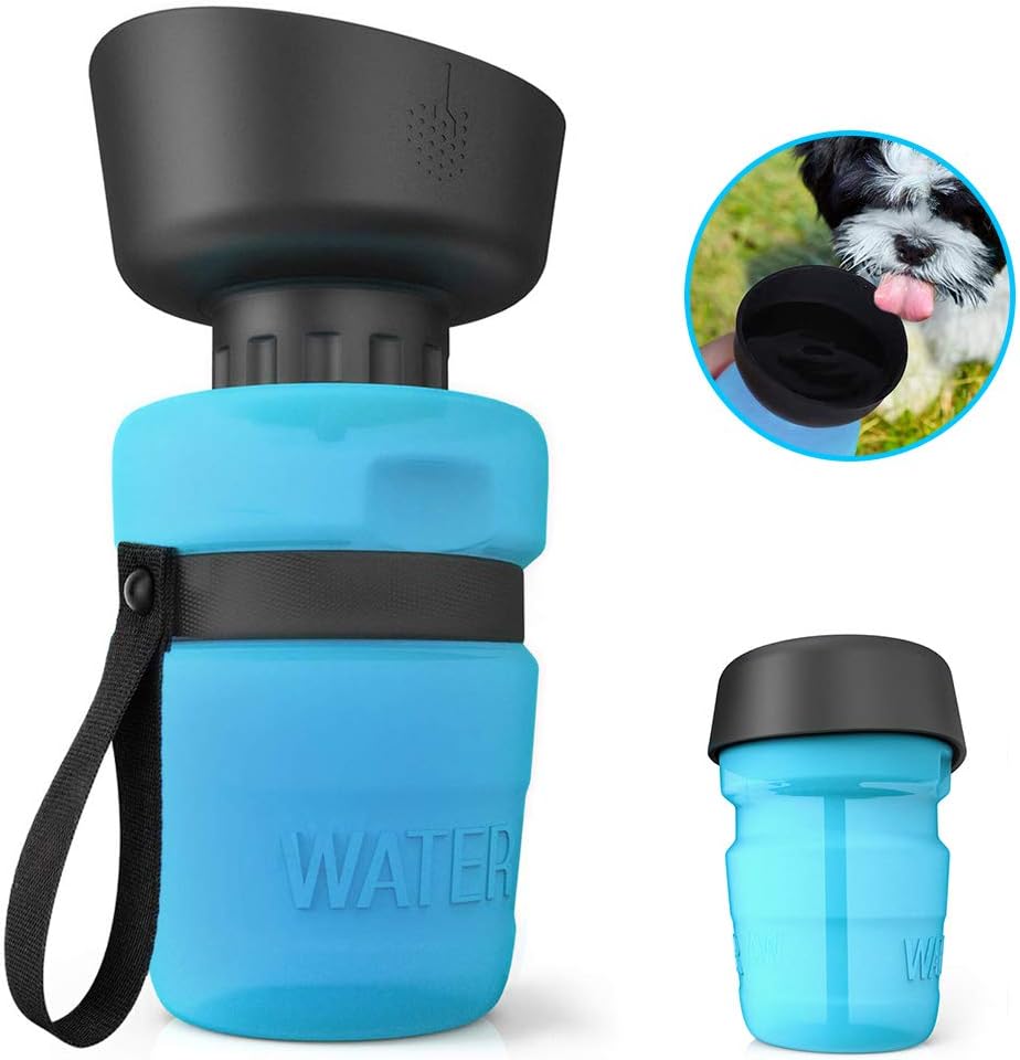 ricevi un regalo per il cane