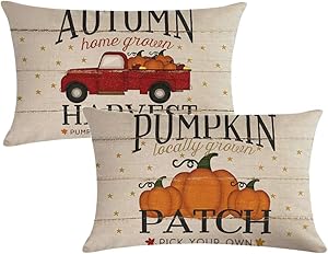 7COLORROOM Set of 2 Pumpkin Throw Pillow Covers Retro Red Truck Autumn Harvest Rectangular/Waist Cushion Cover Farmhouse Decorative Cotton Linen Pillowcases 12 x 20 Inches(Pumpkin 2)
