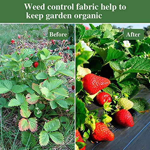 AGTEK Garden Weed Barrier Landscape Fabric 3.8oz 3x50 FT HeavyDuty Ground Cover EcoFriendly