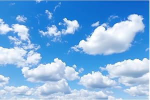 RIIVVDISE Blue Sky Aquarium Background Tiny Cloudy Cumulus Fish Tank Background White Clouds in Clear Blue Sky Reptile Tank Backgrounds Cloudy Blue Skys Reptile Enclosure Backgrounds Wallpaper Poster 60x24in