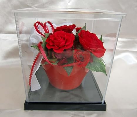 Amazon 母の日ギフト15 花 風水 ハッピー ブーケ レッド 赤 バラ アレンジ プリザーブドフラワー ディス プレイ用 ウィンナーケース 付 プリザーブドフラワー オンライン通販