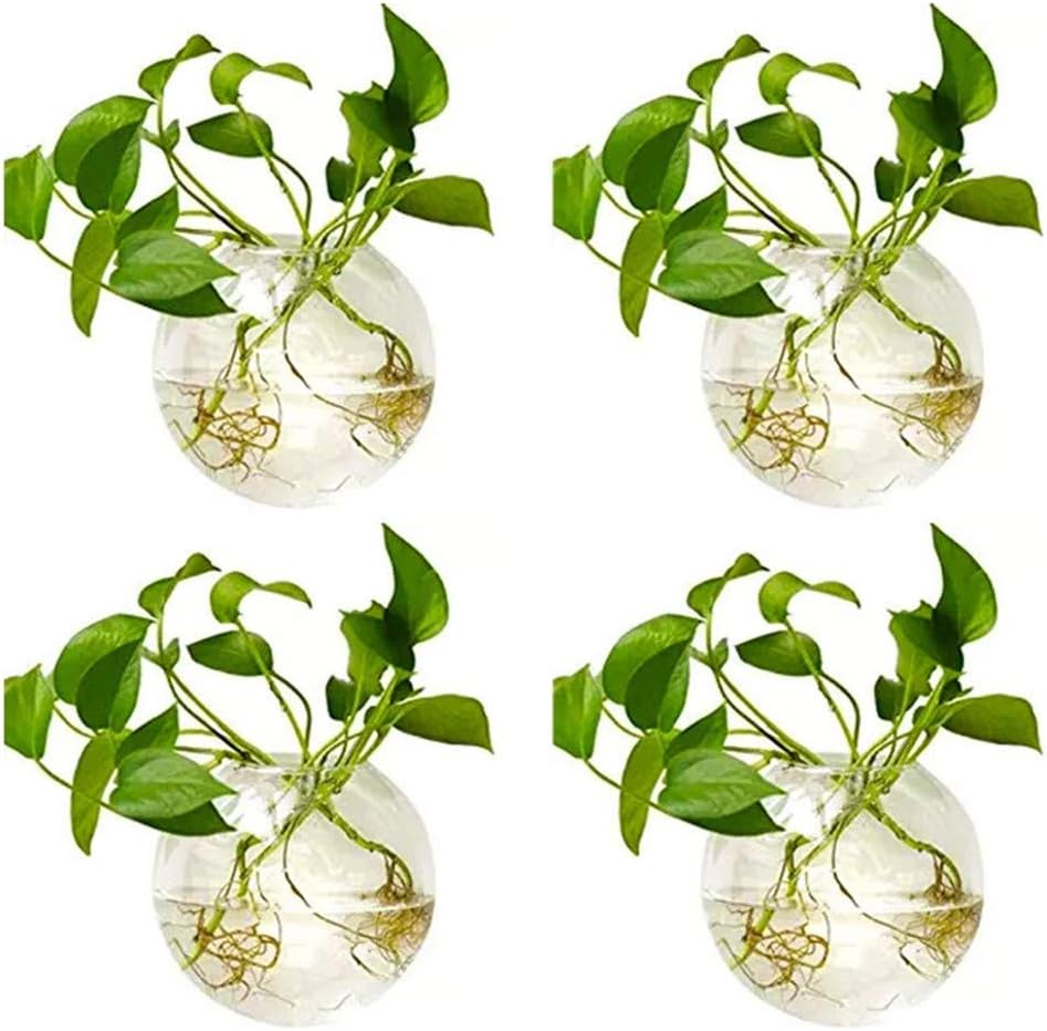 Sziqiqi Pack of 4 Wall Hanging Glass Planters 4 Inches Diameter Round Glass Plant Pot, Water Planting Vases Air Flower Vase Plant Terrariums Plant Container, 4 Pcs
