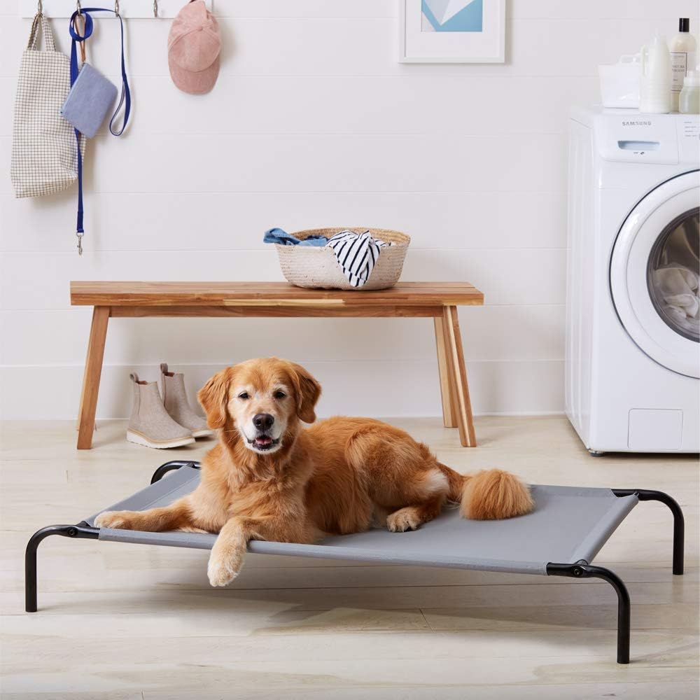Basics Cooling Elevated Pet Bed, Large (51 x 31 x 8 Inches), Grey : Pet Supplies