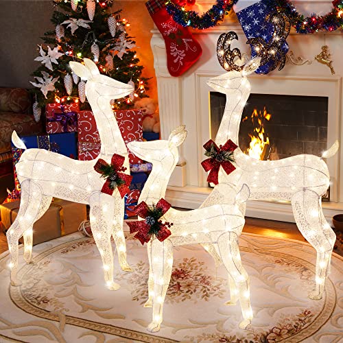 Shintenchi 3Piece LED Lighted Christmas Deer Outdoor Yard Decorations