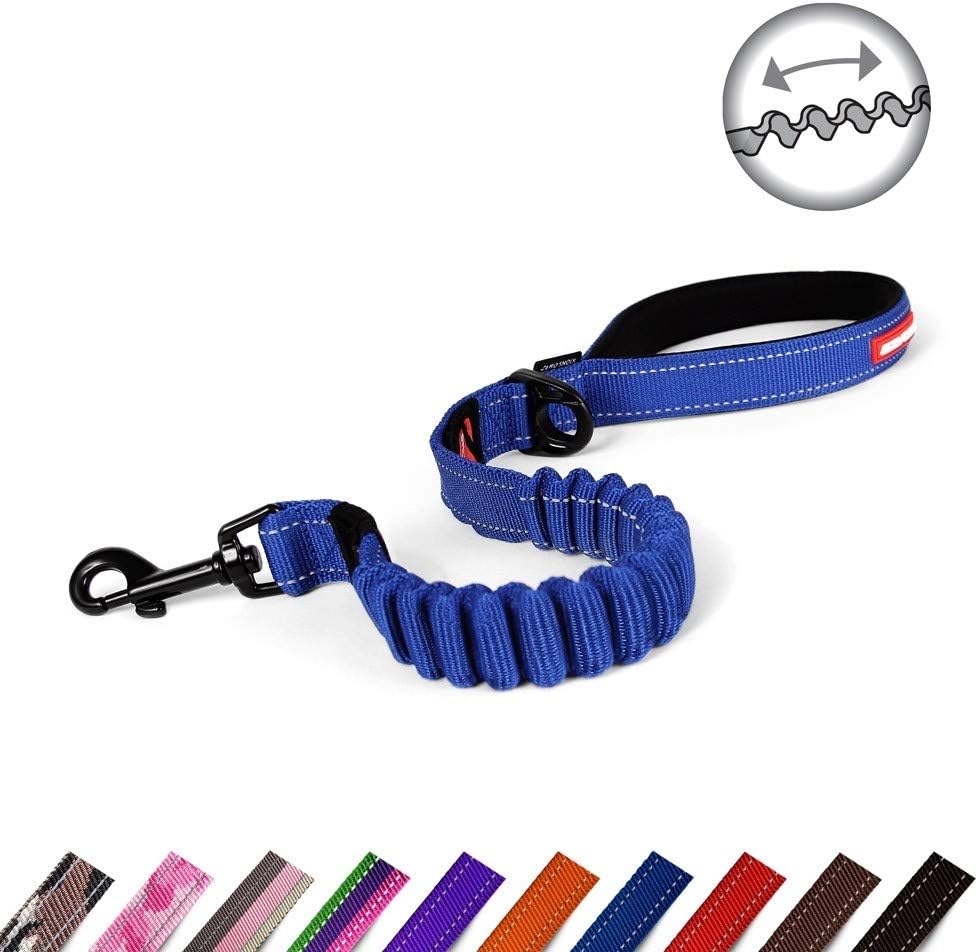 EzyDogZero Shock Dog Lead | Shock Absorbing, Blue, 25 Inch