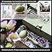 Genuine Jade Roller, Chinese Royal Family's Secret Weapon For Anti-Aging , With Luxy Gift e Roller for Face, Jade Roller for Face, Jade Facial Roller, Gua Sha Scraping Massager