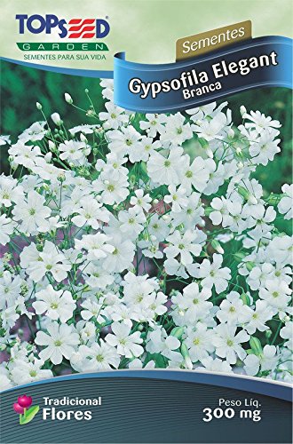 Semente de Flor Gypsofila Mosquitinho com 20