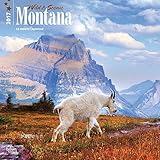 2017 Monthly Wall Calendar - Montana, Wild & Scenic