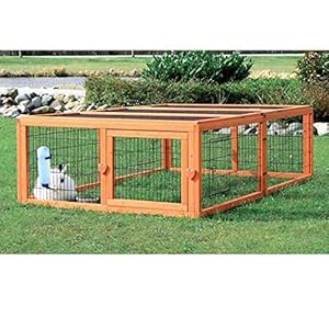 Product Category Outdoor Run Netherlanddwarfbunnycom