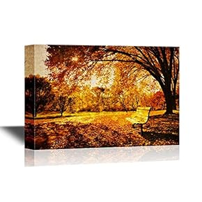 Bench in a Park in Late Day Autumn Light