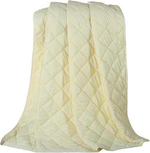 Amazon Com Naturety Thin Comforter For Summer Light Weight Bed