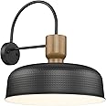 Luminzone Outdoor Barn Light Gooseneck Barn Light, Farmhouse Exterior Wall Mount Light Vintage Wall Lighting Fixture Industrial Wall Lantern for Porch, Entryway, Garage, Black, 1 Pack, Large