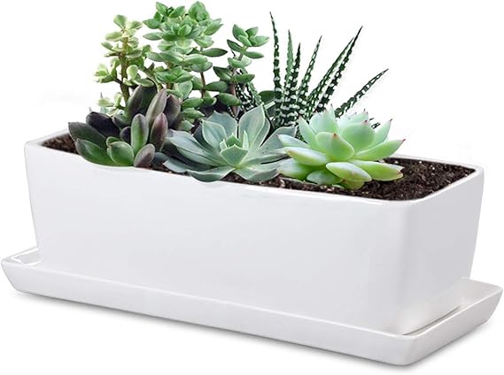 GROWNEER 35, 6 cm rechteckige weiße Keramik-Sukkulenten-Übertopf