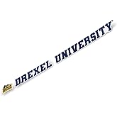 Desert Cactus Drexel University Sticker Dragons Name Logo Vinyl Decal Laptop Water Bottle Car Scrapbook (15 Inch Sticker)