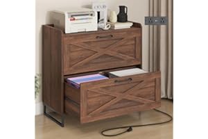 Halitaa File Cabinet 2 Drawers Lateral File Cabinet with Charging Station for Letter/Legal/A4 Size Hanging Files, Large Wood File Storage Cabinets Printer Stand for Home Office, Dark Walnut