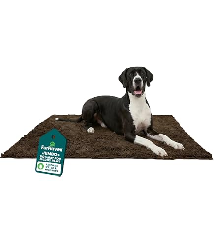 Amazon.com: Furhaven 60