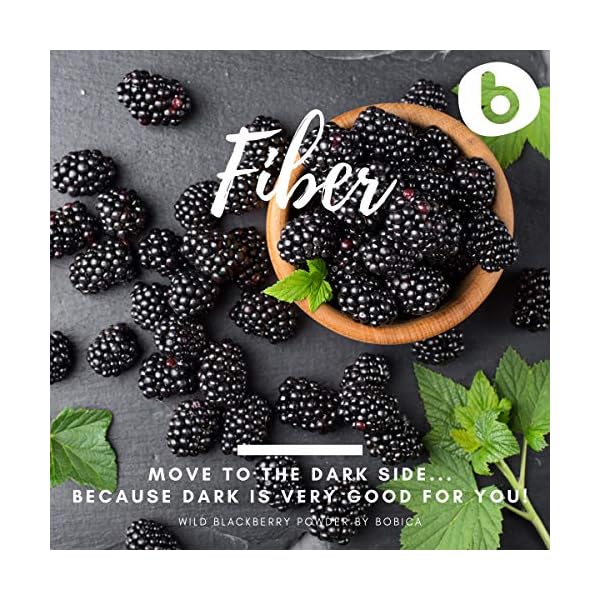 Bobica’s Premium European Organic Freeze Dried Wild BlackBerry Powder