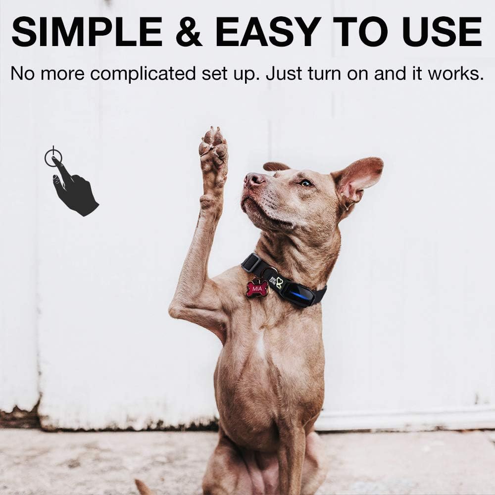 DOG CARE Automatic Bark Collar-Comfortable Dog bark Collar, Easy to use with beep, Vibration & Shock Modes, Very Effective and Humane Dog Shock Collar with 5 Adjustable Sensitivity Levels, No Remote : Kitchen & Dining