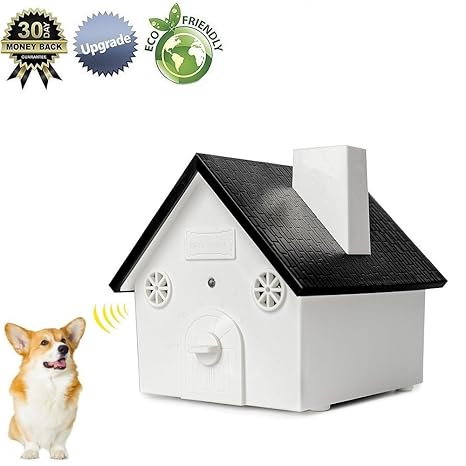 bird box dog barking