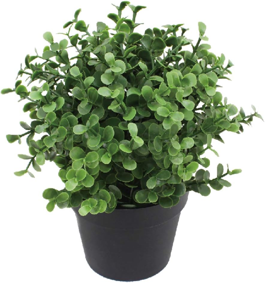 SunnyRoyal Artificial Mini Pant Potted Topiary Fake Buxus Boxwood Plants in Pot for Home/Indoor/Outdoor Décor 1 Pack -