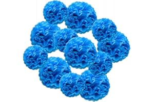 Hocansen 12Pcs Tissue Paper Pompoms 10/12in Paper Flower Ball for Birthdays and Special Occasions Party Hanging Decoration (10in+12in，Blue)