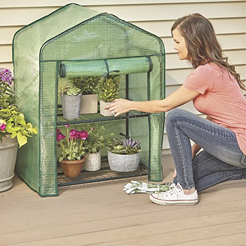 Kotulas 2-Tier Mini Greenhouse — 27in.W x 19in.D x 36 1/2in.H