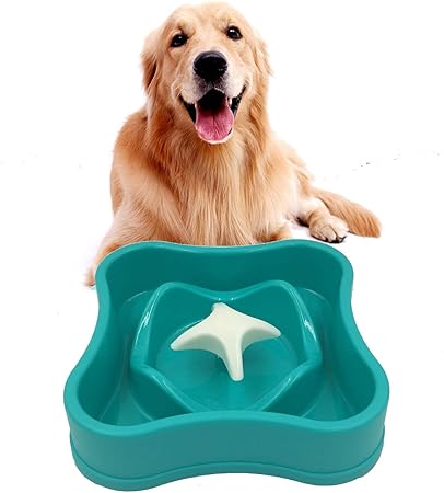retriever rotating feeder bowls