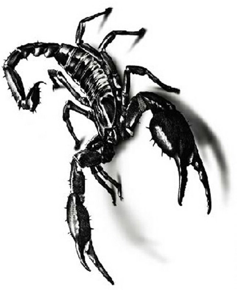 EROSPA® Skorpion 3D TattooBogen temporär Aufkleber Sticker 15 x 10