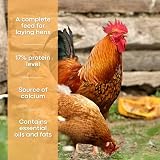 Copdock Mill Range Layers Mash 5kg Chicken Feed High Protein 17% view 3