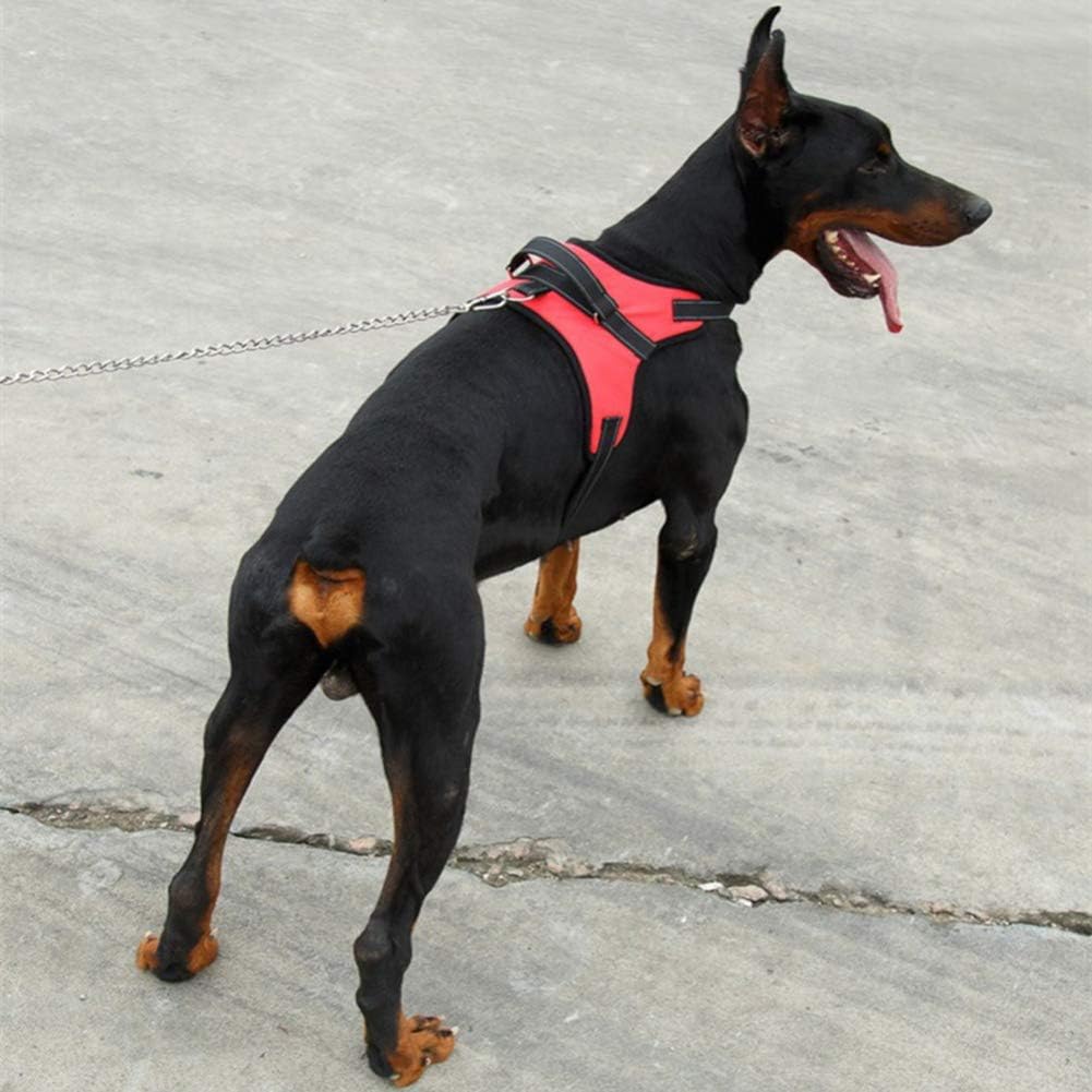 SMDARROY No Pull Dog Harness - Image 5