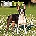 Boston Terriers 2016 Wall Calendar