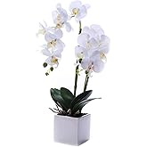 GXLMII Orchids Artificial Fake Flowers with Vase for Table Centerpieces, Fake Orchids in Pots Orquideas Real Touch Flowers Large Vivid Faux Phalaenopsis White Orchid Plant Indoor Room Decoration