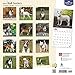 2017 Monthly Wall Calendar - Bull Terriers