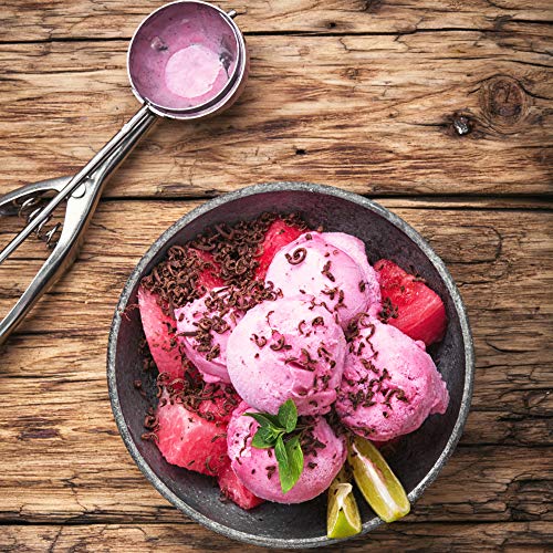 Epicureal Pure Watermelon Powder 150g Watermelon Fruit Extract