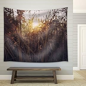 Nature Landscape at Sunset - Fabric Wall Tapestry Home Decor - 51x60 inches