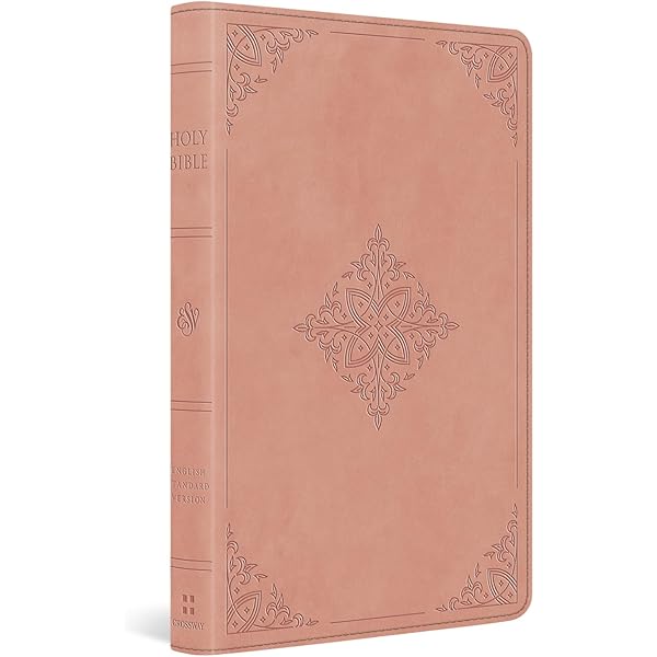 Holy Bible: English Standard Version (ESV) Anglicised Pink Compact