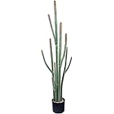 Nafresh Tall UV Resistant Faux Cactus Plant，60in Realistic Texture Tall Fake Plant, Artificial Cactus Large with Black Pot Indoor Outdoor for Home Office Living Room Bedroom Foyer Porch Decor.