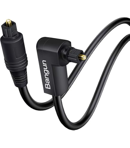Amazon.com: Replacement 6FT Digital Fiber Optical Audio Toslink