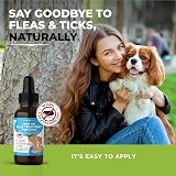 BUDDY'S BEST Spot-On Flea & Tick Protection for Dogs 50ml Natural Formula view 6